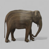 Nanu (Matriarch 157 - EAST COAST ONLY)