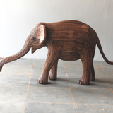 Coconut (Calf 379)