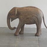 India (Calf 383)