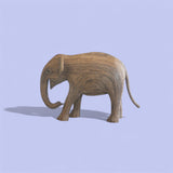 India (Calf 383)
