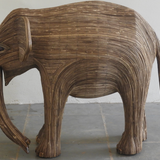 Kapil (Calf 371)