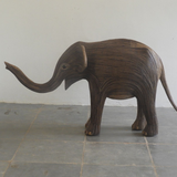 Loulu (Calf 386)