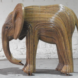 Mwana (African Calf 568)