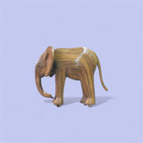 Mwana (African Calf 568)
