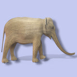 Sagarika (Matriarch 165 - EAST COAST ONLY)