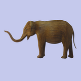 Vasu (Tusker 416)