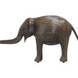 Coconut - Calf AC1R (Boston Exhibit)