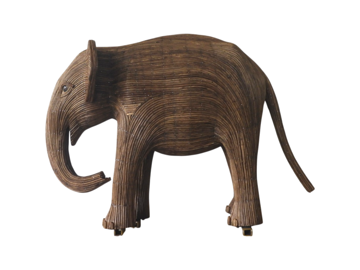India 3 - Calf AE17 (Boston Exhibit) – The Great Elephant Migration