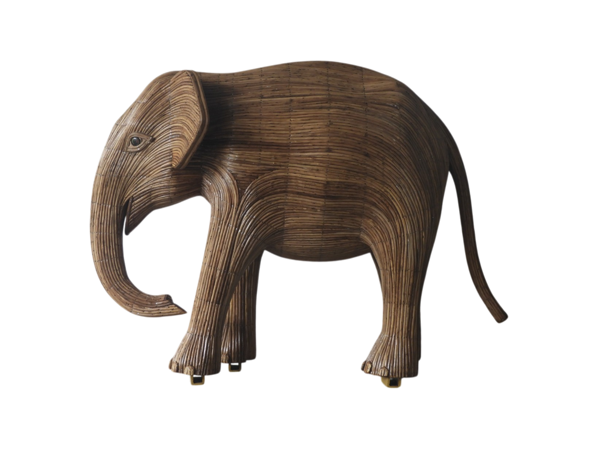 Leela - Calf AI20 (Boston Exhibit) – The Great Elephant Migration