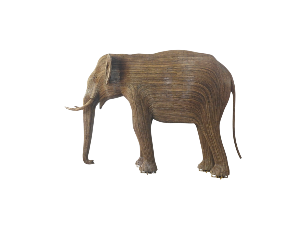 Kashmiri - Tusker AL06 (Boston Exhibit) – The Great Elephant Migration