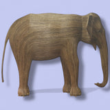 #224 Matriarch - Avani (L.A. Exhibit)