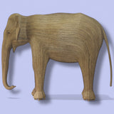 #224 Matriarch - Avani (L.A. Exhibit)