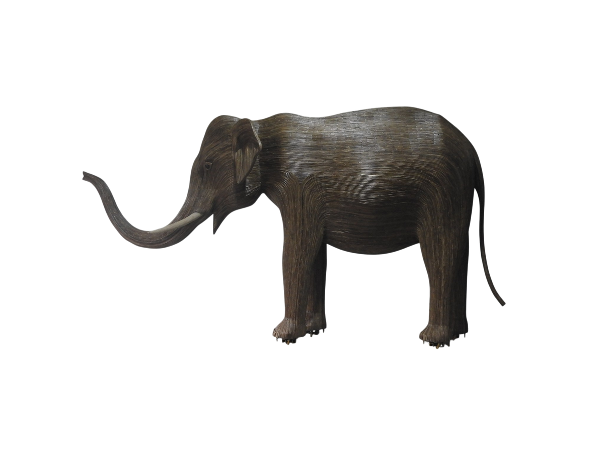 Vasu - Tusker AC26 (Boston Exhibit) – The Great Elephant Migration