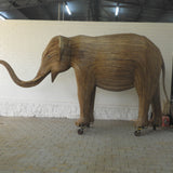 Vasu (Tusker 416)