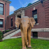 Madhubula - Matriarch (Boston Exhibit)