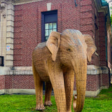 Madhubula - Matriarch (Boston Exhibit)