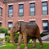 Madhubula - Matriarch (Boston Exhibit)