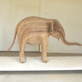 Calf 279 - Olari (Southern Collection)