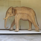 Adolescent 307 - Arush (Southern Collection)