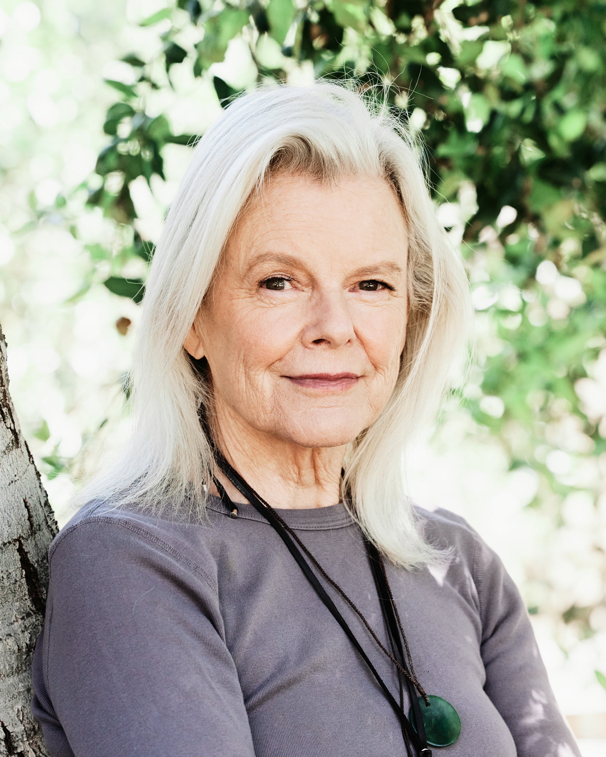 Environmentalists The Great Elephant Migration environmentalists-the-great-elephant-migration