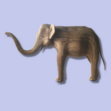 Moringa (Matriarch 262)