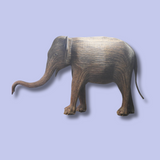 Nalo (Matriarch 492 - EAST COAST ONLY)