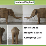 Ritu - Calf AE35 (Boston Exhibit)