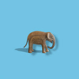 Calf 383 - India (Southern Collection)
