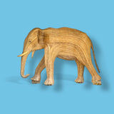 Adolescent 307 - Arush (Southern Collection)