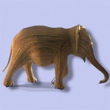 #39 Adolescent - Shola (Houston Herd)