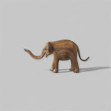 Peanut 461 - Calf (East Coast)