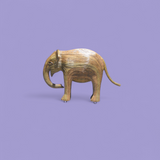 Olari - Calf - 265 (LA exhibit)