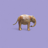Olari - Calf - 265 (LA exhibit)