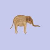 Ritu (Calf 279)