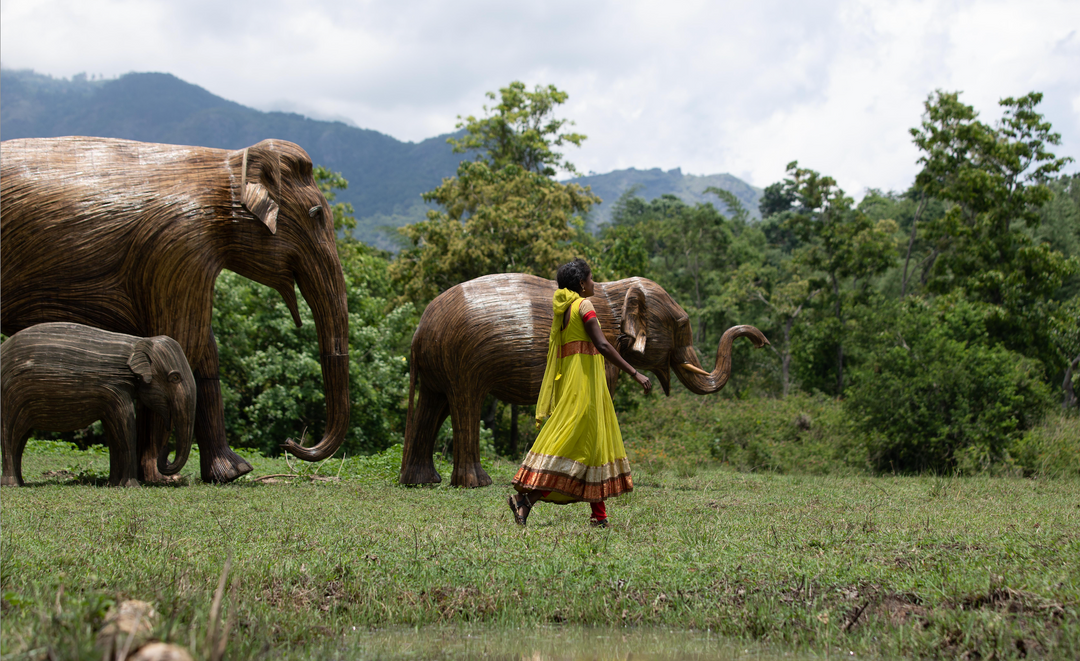 Environmentalists the great elephant migration
