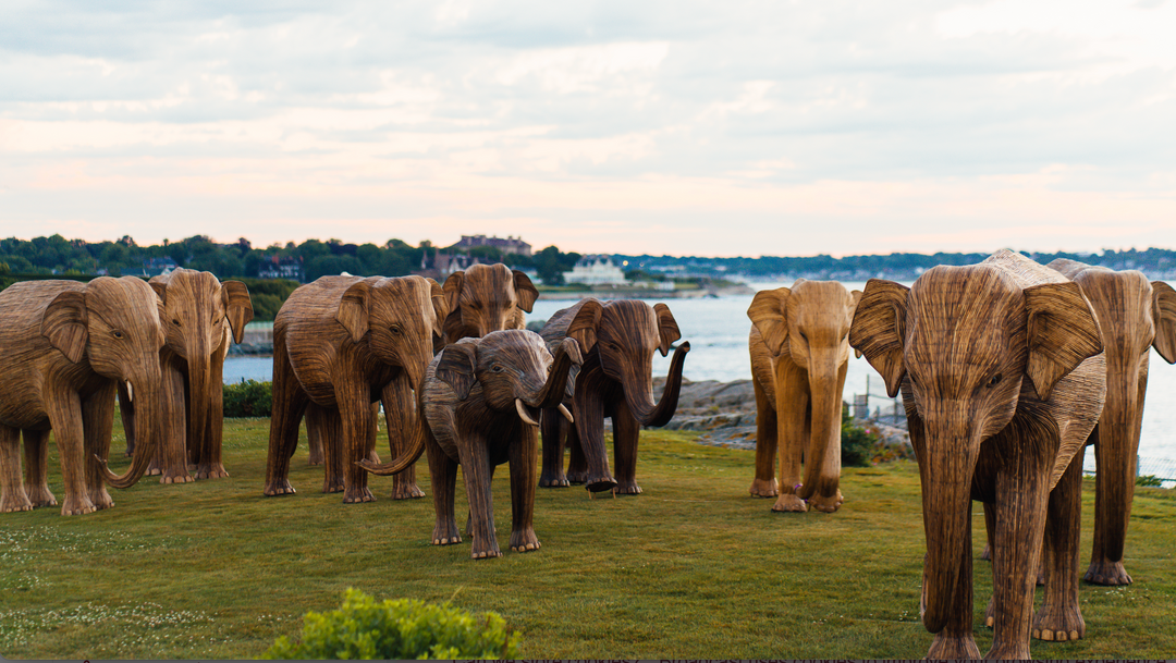 The Great Elephant Migration New York City The Great Elephant Migration New York City