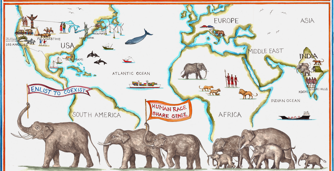 Visit The Great Elephant Migration visit-the-great-elephant-migration
