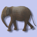#158 Matriarch - Tara (L.A. Exhibit)
