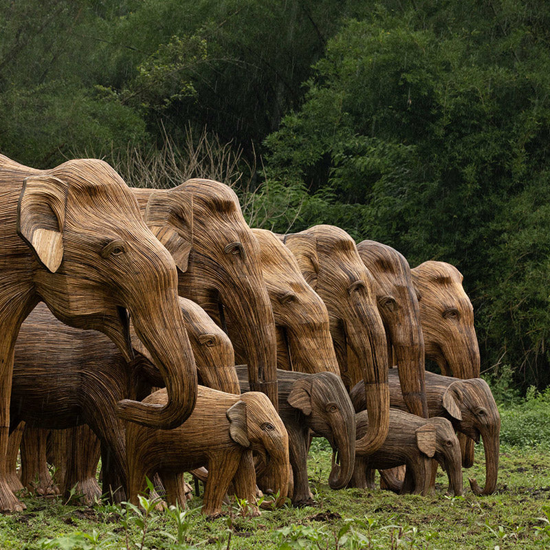 Dodie Kazanjian – The Great Elephant Migration