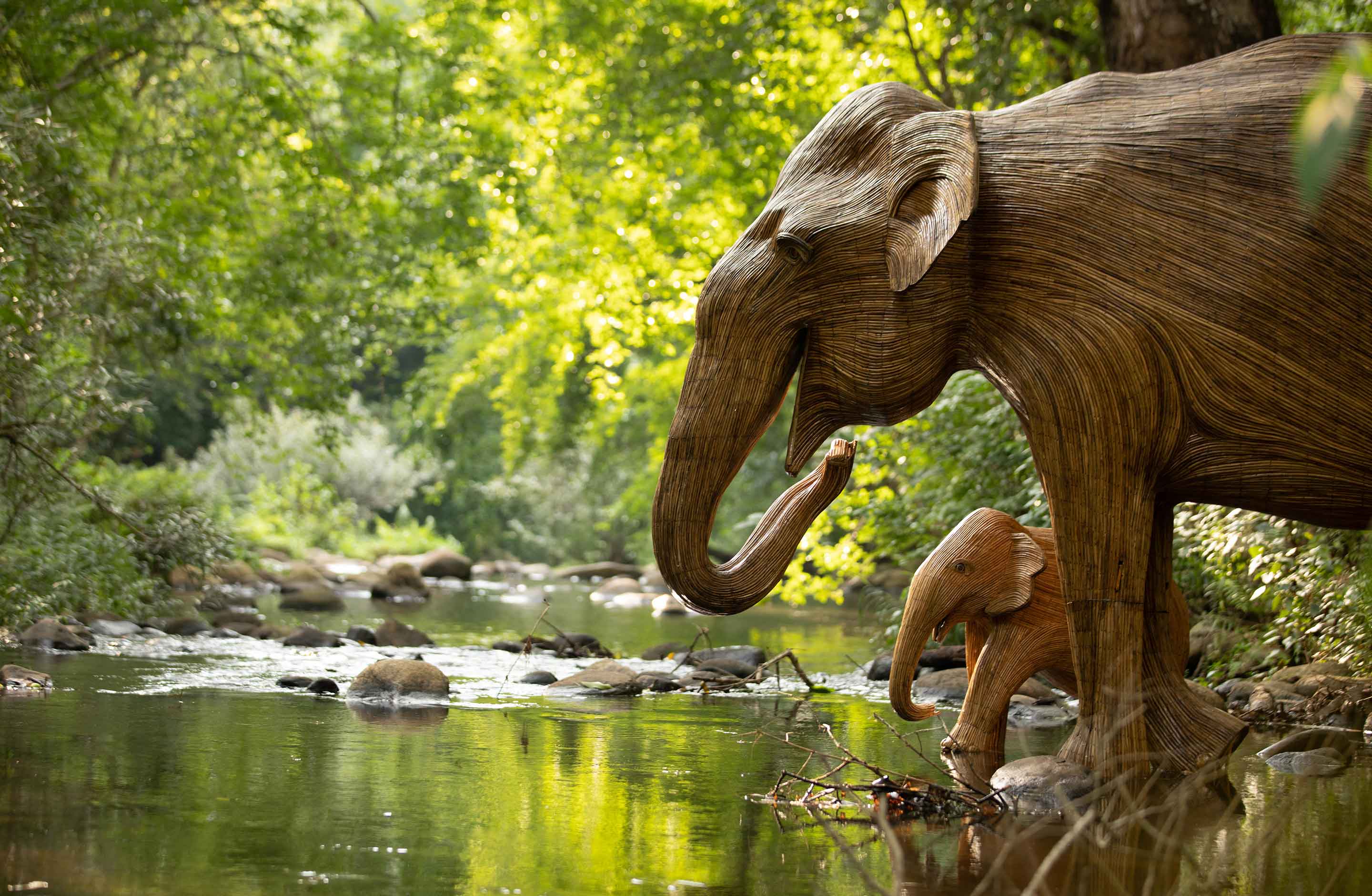 Buy An Elephant | The Great Elephant Migration