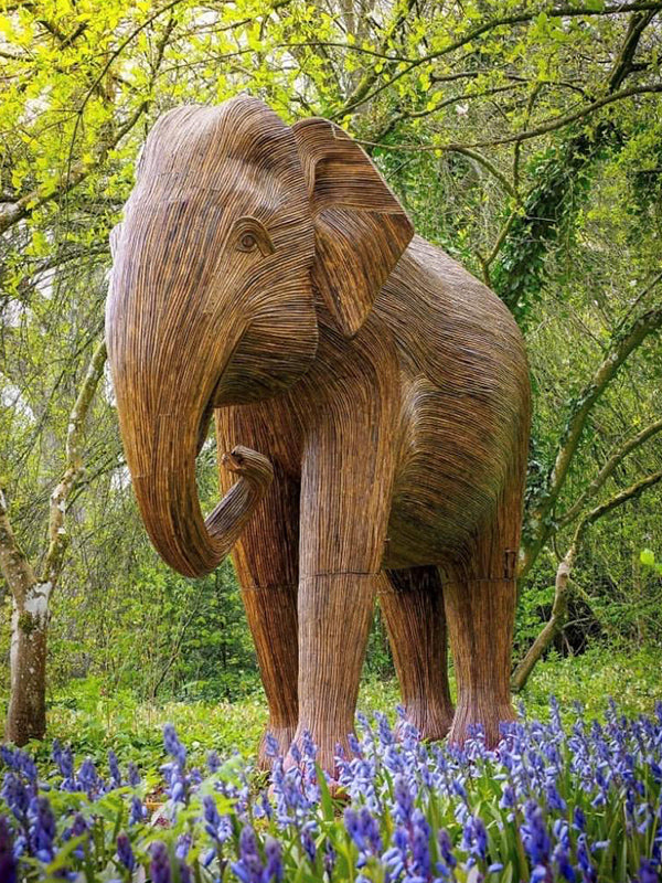 Visit The Great Elephant Migration visit-the-great-elephant-migration