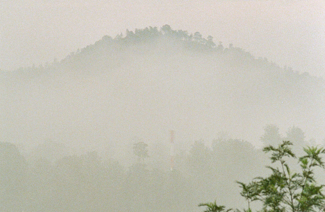 support-the-great-elephant-migration